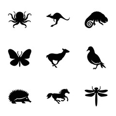 Set of 9 Animals filled icons
