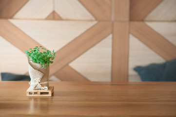 little tree on wood table