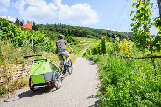 Young Parent Cycling Through Vineyards With Bike Trailer