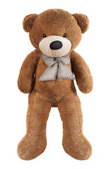 Brown toy bear isolated on white