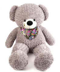 Grey toy bear isolated on white