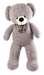 Grey toy bear isolated on white