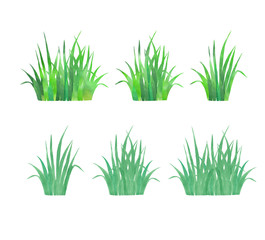 Design set with spring grass watercolor. Hand painting grass isolated on white backgdound