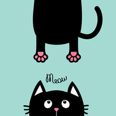 Black cat looking up. Funny face head silhouette. Meow text. Hanging fat body paw print, tail. Kawaii animal. Baby card. Cute cartoon character. Pet collection. Flat design. Blue background. Isolated.