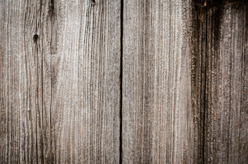 Wood texture. The background of the wooden planks.