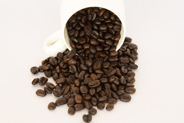 Coffee bean in a White coffee cup on white background.