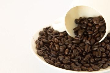 Coffee bean in a White coffee cup on white background.
