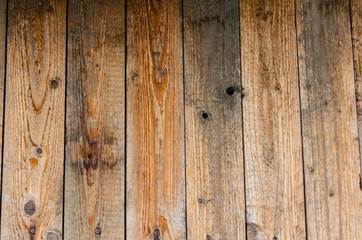 Wood texture. The background of the wooden planks.