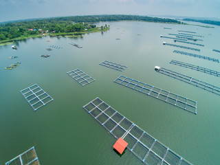 Fish Farm in Thailand 