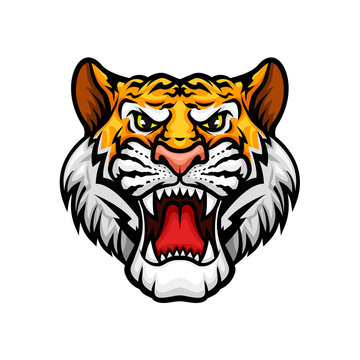 Tiger roaring head muzzle vector mascot icon
