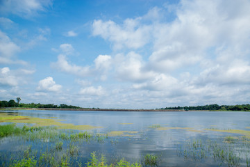 Lake View Landscape