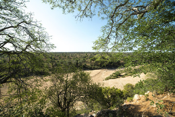 Parc national Kruger, Afrique du Sud