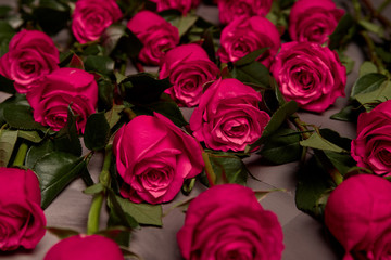 Bouquet of red colored rose flower with water drops on petals close-up as background.