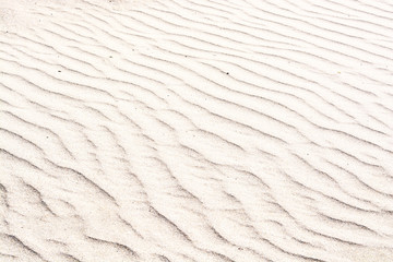 Fototapeta na wymiar Seamless light colored sand waves texture or background