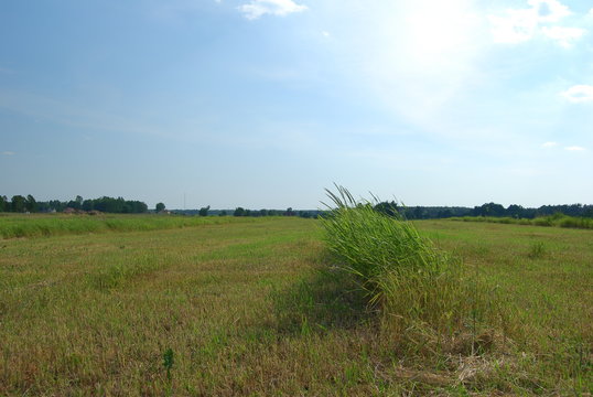 Sobibor, Miedza.