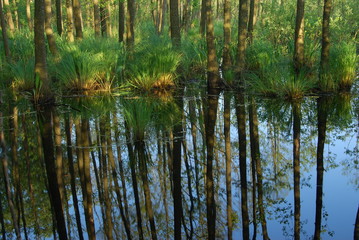 Sobiborski Park Krajobrazowy.