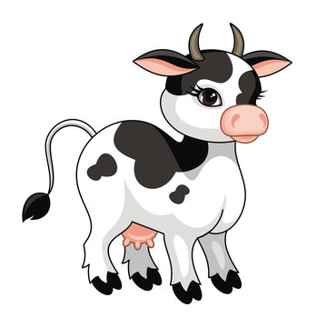 The vector image of a ridiculous cow in cartoon style isolated on a white background.