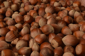 hazelnut