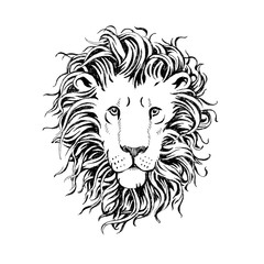 Obraz premium hand drawn lions head isolated on white background