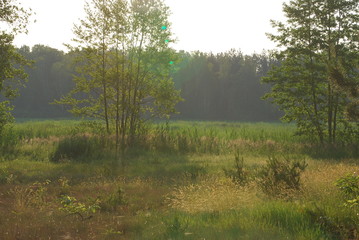Obraz na płótnie Canvas Sobiborski Park Krajobrazowy.
