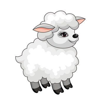 The vector image of a ridiculous sheep in cartoon style isolated on a white background.