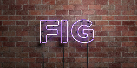 Obraz premium FIG - fluorescent Neon tube Sign on brickwork - Front view - 3D rendered royalty free stock picture. Can be used for online banner ads and direct mailers..