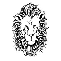 Vector hand drawn head of lion with a fluffy mane