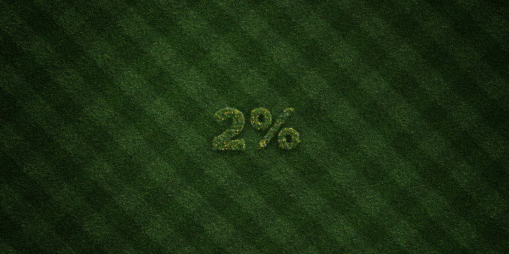 2% - fresh Grass letters with flowers and dandelions - 3D rendered royalty free stock image. Can be used for online banner ads and direct mailers..
