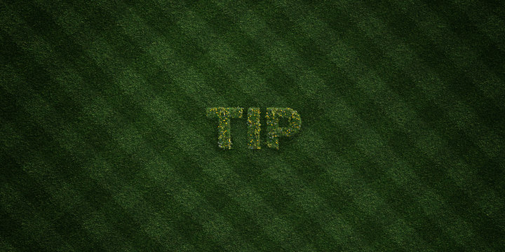 TIP - fresh Grass letters with flowers and dandelions - 3D rendered royalty free stock image. Can be used for online banner ads and direct mailers..