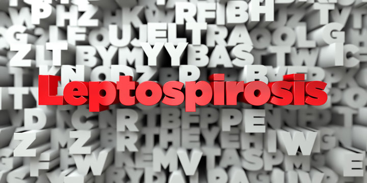 Leptospirosis Images – Browse 1,086 Stock Photos, Vectors, and Video ...