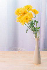 Beautiful yellow flowers in vase