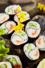 Japanese Sushi Set