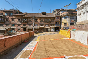 Drying rice on the street in front of the house in Kirtipur city of Nepal
