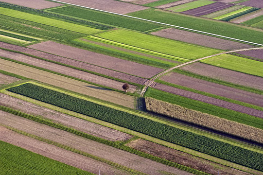 Aerial view of fields near the city of Kranj, Slovenia, October 2002