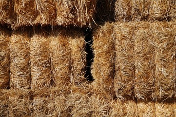 Fondo de alpacas de paja