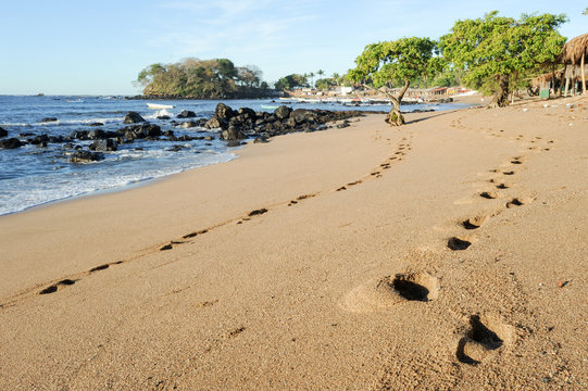 Footprint on the beach of Los Cobanos