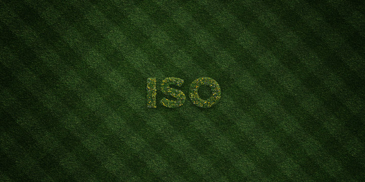 ISO - fresh Grass letters with flowers and dandelions - 3D rendered royalty free stock image. Can be used for online banner ads and direct mailers..