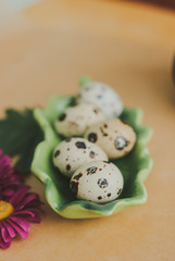 Easter decoration, table setting, quail eggs and spring tender pink flowers