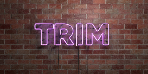 TRIM - fluorescent Neon tube Sign on brickwork - Front view - 3D rendered royalty free stock picture. Can be used for online banner ads and direct mailers..