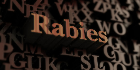 Rabies - Wooden 3D rendered letters/message.  Can be used for an online banner ad or a print postcard.