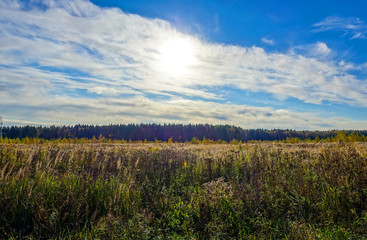 Fototapeta premium Field in autumn