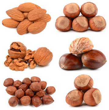 Collection of nuts on a white background