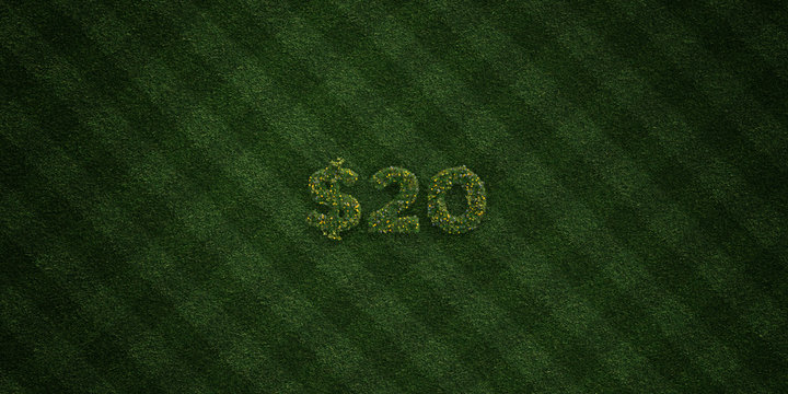 $20 - fresh Grass letters with flowers and dandelions - 3D rendered royalty free stock image. Can be used for online banner ads and direct mailers..