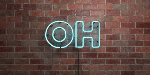 OH - fluorescent Neon tube Sign on brickwork - Front view - 3D rendered royalty free stock picture. Can be used for online banner ads and direct mailers..