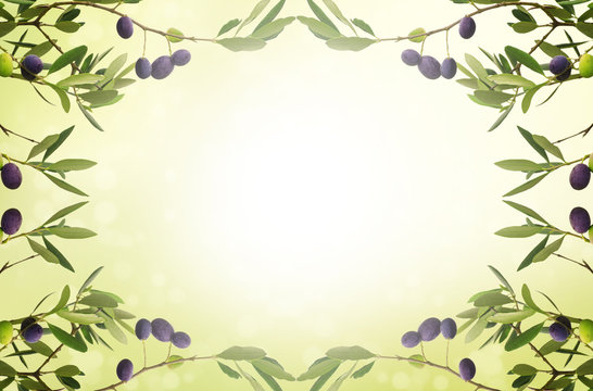 Floral natural sunny organic food background with frame from olive tree branches, green leaves anf fruits, can be used for cards, posters and web