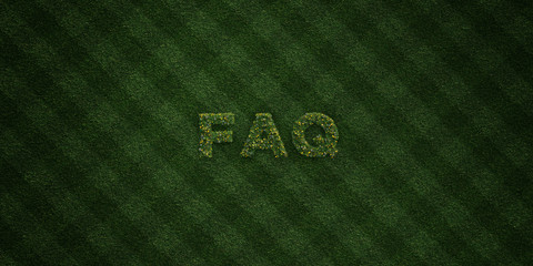 FAQ - fresh Grass letters with flowers and dandelions - 3D rendered royalty free stock image. Can be used for online banner ads and direct mailers..