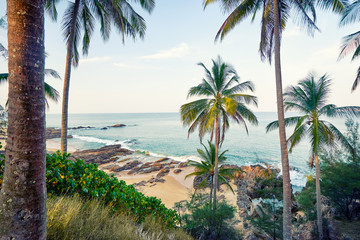 Fototapeta na wymiar Beautiful tropical beach with big coconut palms.