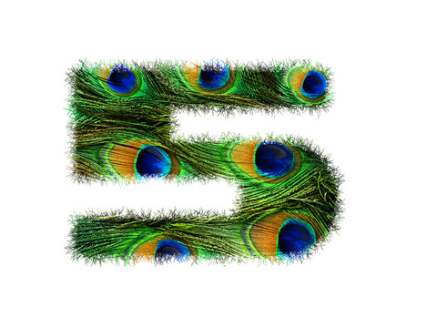 High resolution font number 5 made of peacock feathers pattern isolated on white background