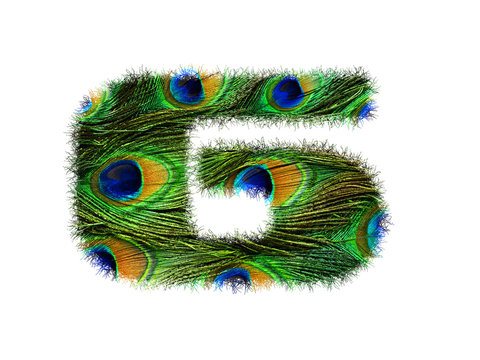 High resolution font number 6 made of peacock feathers pattern isolated on white background