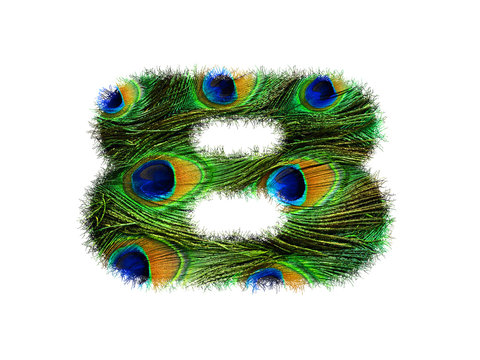High resolution font number 8 made of peacock feathers pattern isolated on white background